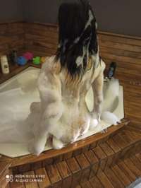 Mersin VIP Escort Hizmetlerinde Deneyimlerinizi Zirveye Çıkarın